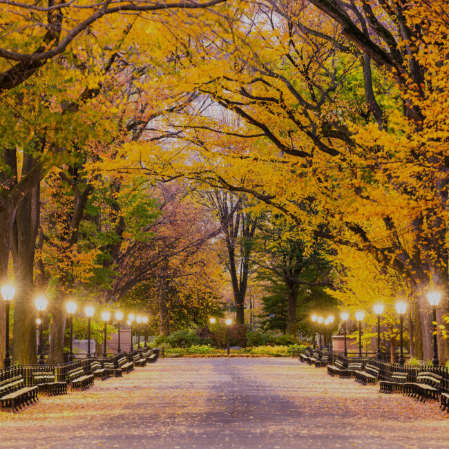 wealth-management-nyc